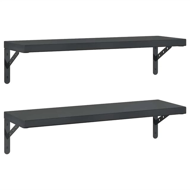 vidaXL Wandregale 2 Stk 75x23,5 cm Schwarz Edelstahl 3214516