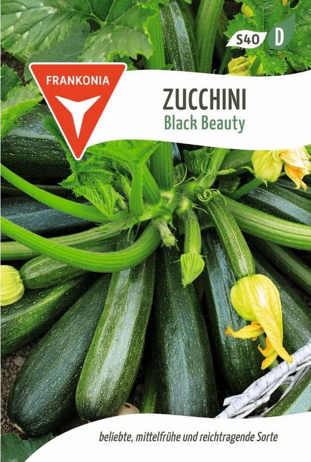 FRANKONIA Zucchini Black Beauty