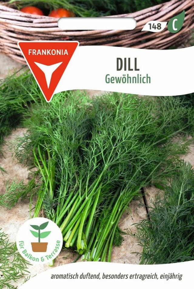 FRANKONIA Dill Gewöhnlich