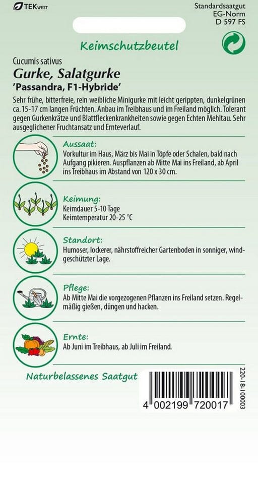 SAMEN PFANN Salatgurke Minigurke Passandra