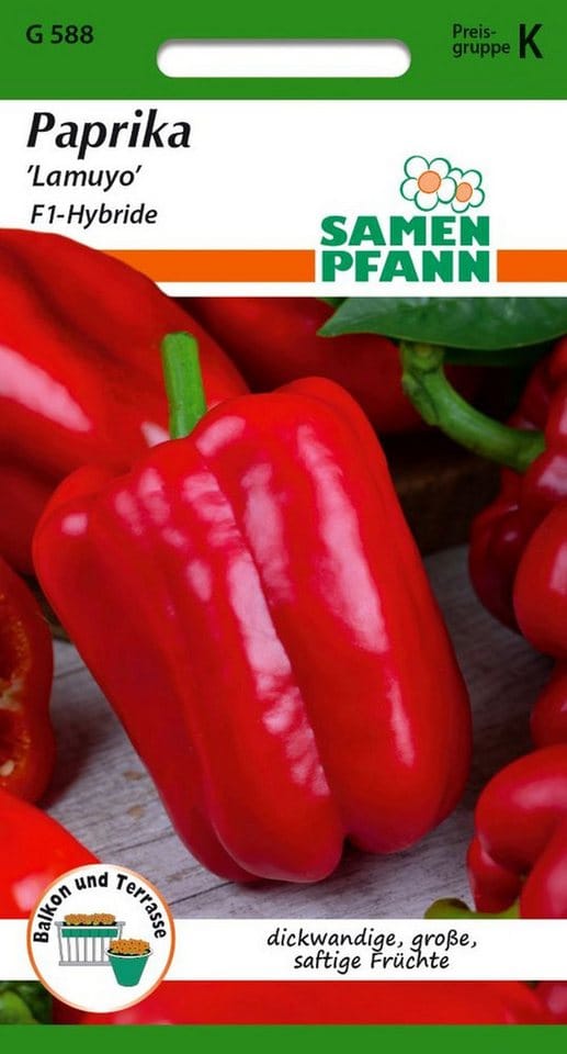 SAMEN PFANN Paprika Lamuyo F1