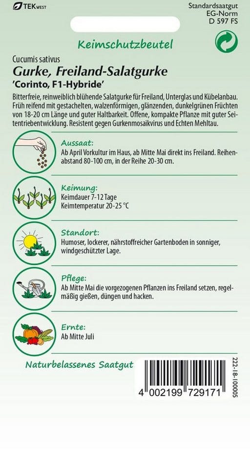 SAMEN PFANN Salatgurke Freiland-Salatgurke Corinto F1