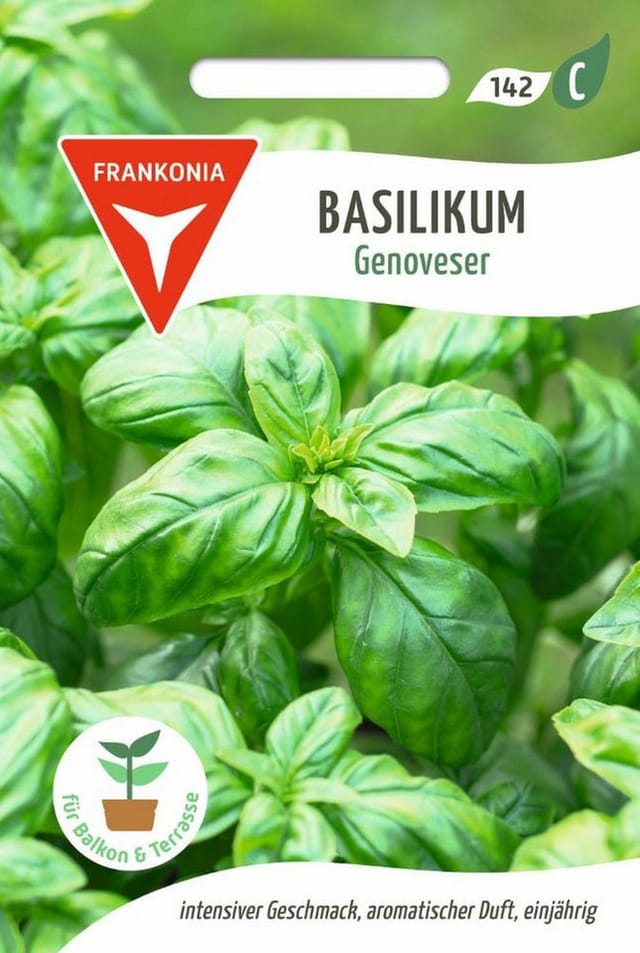 FRANKONIA Basilikum Genoveser