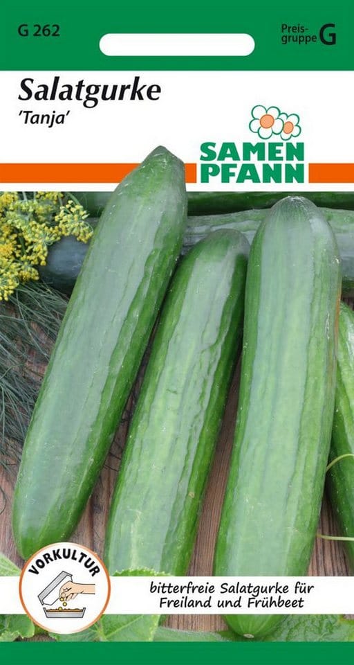 SAMEN PFANN Salatgurke Tanja