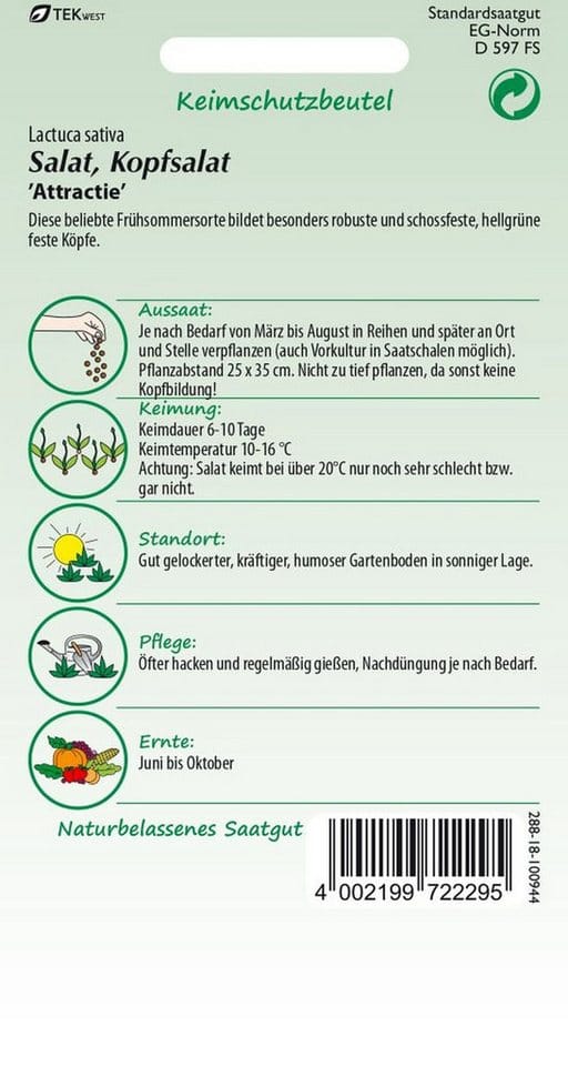 SAMEN PFANN Kopfsalat Attraktion Kleinpackung