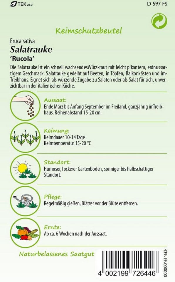 SAMEN PFANN Salatrauke Rucola Kleinpackung