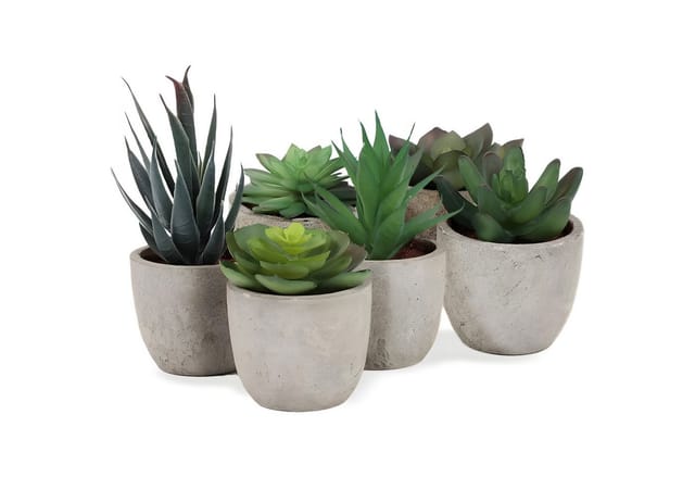 addhome 6er Set Kunstpflanzen Sukkulenten in Steinoptik-Töpfen 7 5-14cm H