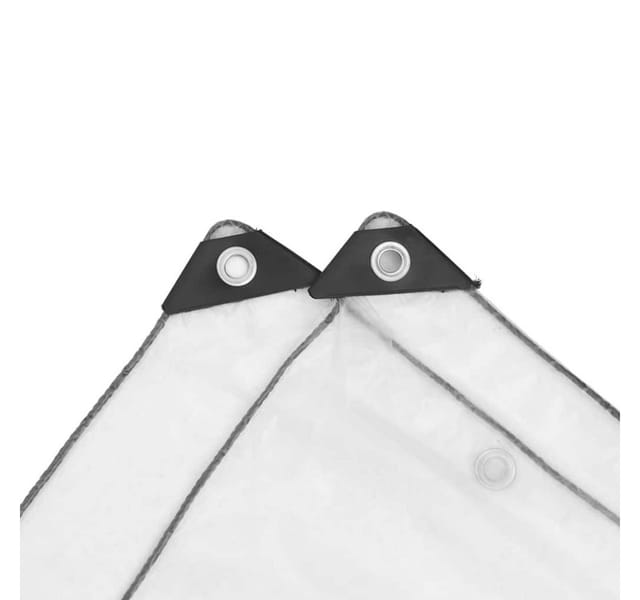 vidaXL Klare Plane mit Ösen 2x2 m Polyethylen 4018503