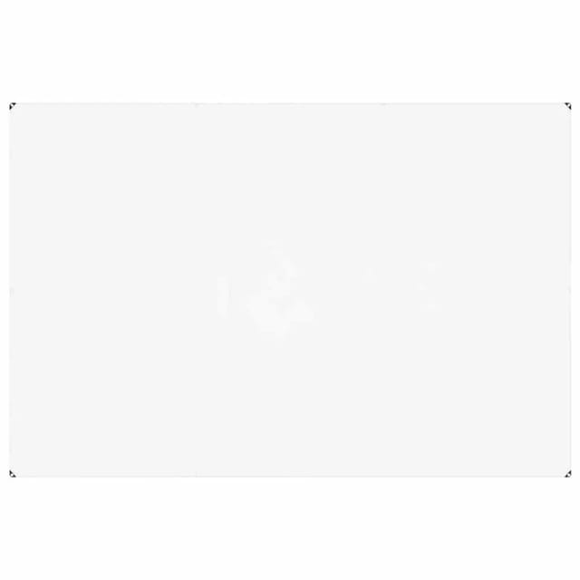 vidaXL Transparente Plane mit Ösen 2x3 m PVC 4018592