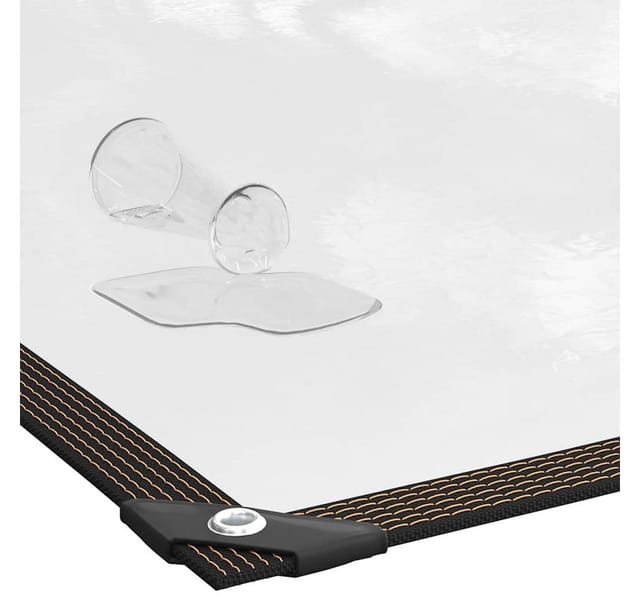 vidaXL Transparente Plane mit Ösen 1x3 m Polyethylen 4018540
