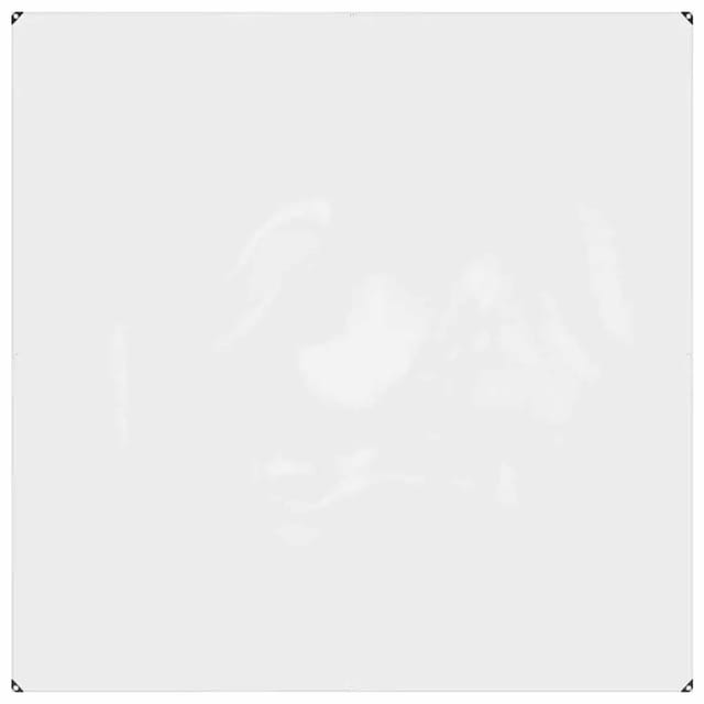 vidaXL Klare Plane mit Ösen 2x2 m PVC 4018591