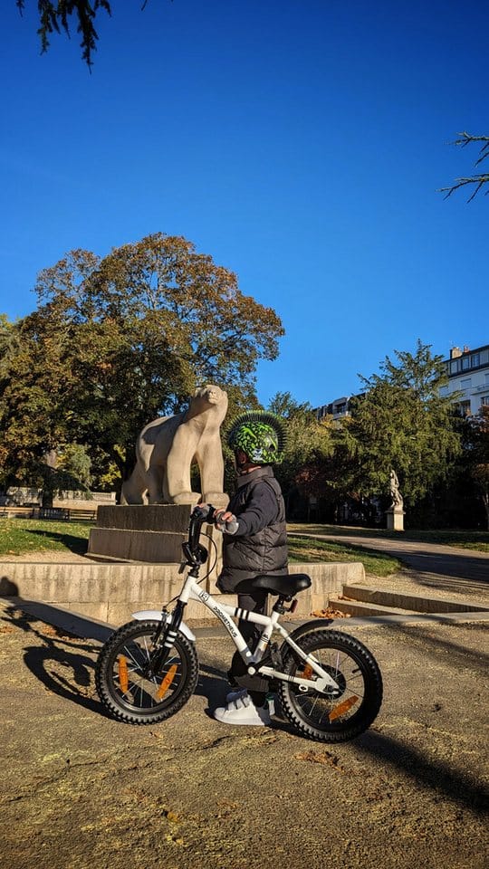 PROMETHEUS BIKES Kinderfahrrad 14 Zoll ab 4 Jahre mit Stützrädern und Rücktrittbremse Weiß