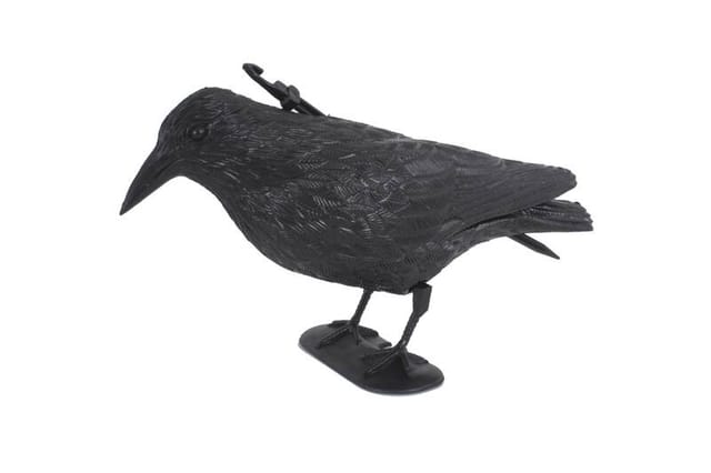 Westfalia Taubenschreck Rabe Schwarz Kunststoff