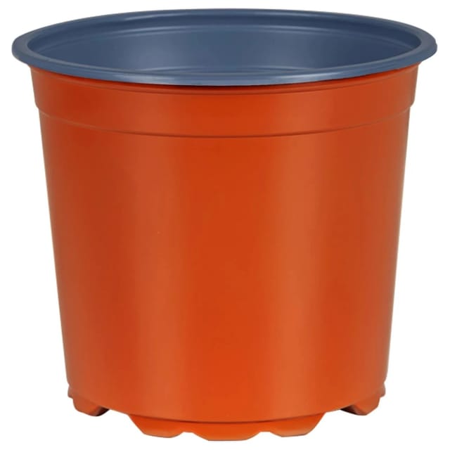 vidaXL Blumentopf 100 Stk Terrakotta Ø 15 x 13 cm Kunststoff 42029488