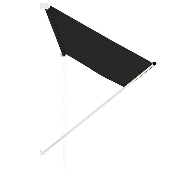 vidaXL Einziehbare Markise 250x150 cm Anthrazit 143760