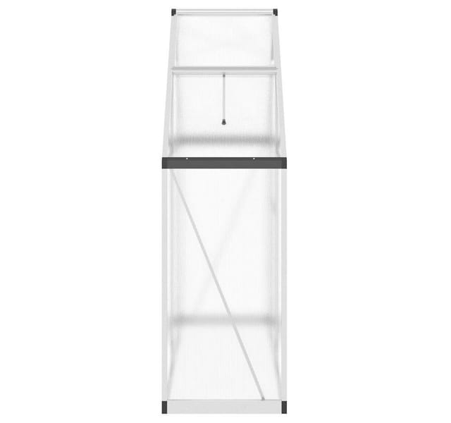 vidaXL Gewächshaus mit Fundamentrahmen Silbern 169x58x195cm Aluminimum 4005816