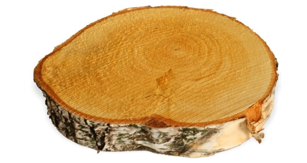 matches21 HOME & HOBBY Bastelnaturmaterial Baumscheiben 1 Stk. Dekoholz Holzscheibe Holzplatte 15 - 20 cm, (1-tlg), 100% deutsche Birkenscheiben für Basteln Dekorieren Tischdeko Bild 3