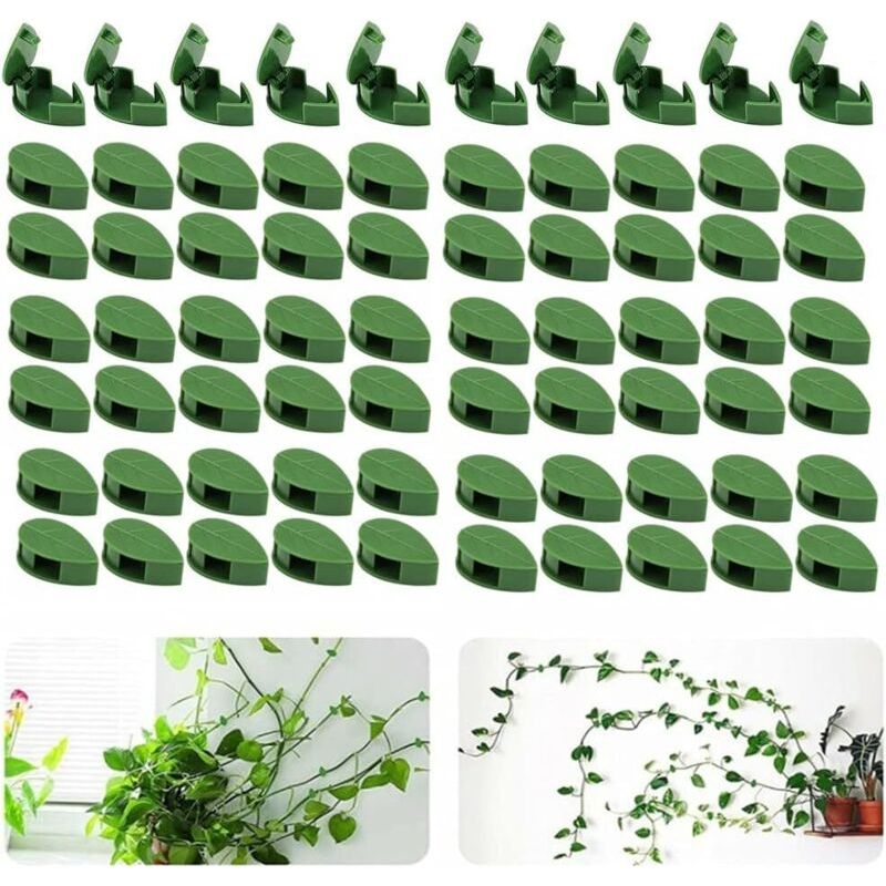 Vurahome – Set Mit 70 Wandclips Für Kletterpflanzen – Für Garten, Wohnung, Büro
