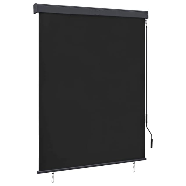 vidaXL Außenrollo 140x250 cm Anthrazit 145970