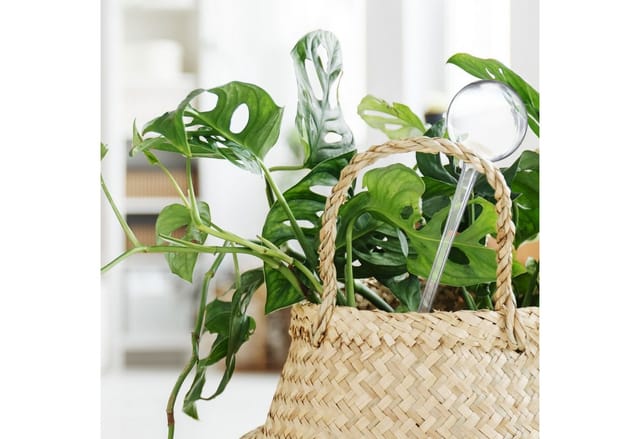 Relaxdays Bewässerungskugeln 5er Set Kunststoff Transparent Dosiert 28 cm x 8 cm