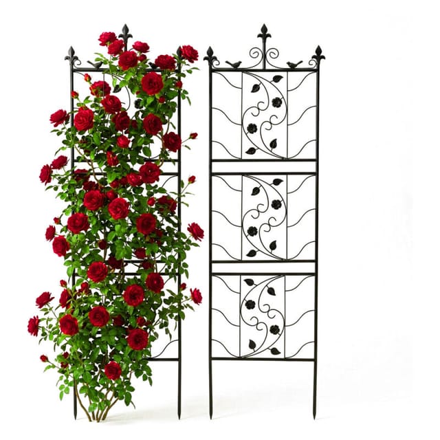 Relaxdays Rankgitter 2er Set Stahl Schwarz Wetterfest 172 cm x 50 cm x 1 cm
