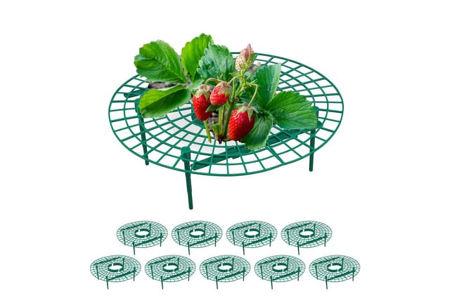 Relaxdays Erdbeerreifer 10er Set Kunststoff Grün Schutz 10 cm x 30 cm 60 g