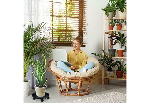 Relaxdays Pflanzenroller Kunststoff Schwarz 2er Set Mit Rollen ø 35,5 cm x 10 cm 660 g
