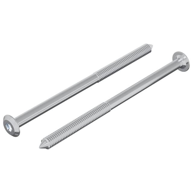 vidaXL Schraube 2 Stk Silber M6 x 100 mm Stahl 864418