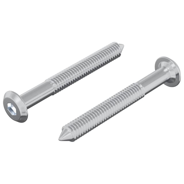 vidaXL Schraube 2 Stk Silber M6 x 50 mm Stahl 864409