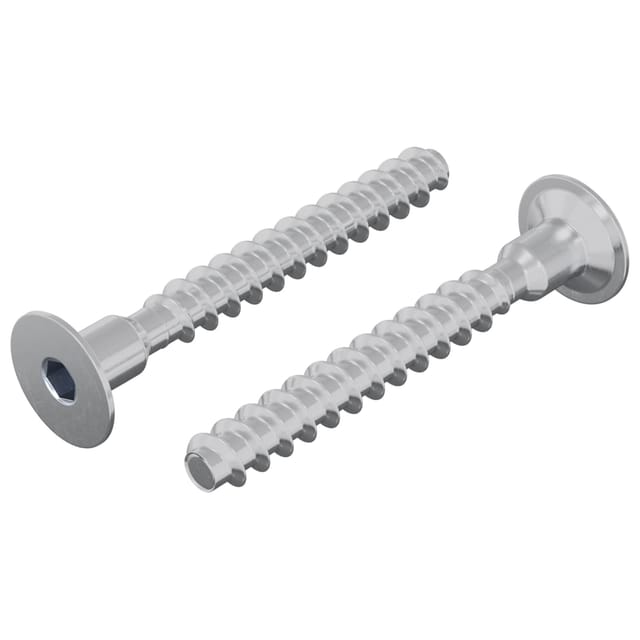 vidaXL Schraube 2 Stk Zink-Beschichtet 5 x 40 mm Eisen 864998
