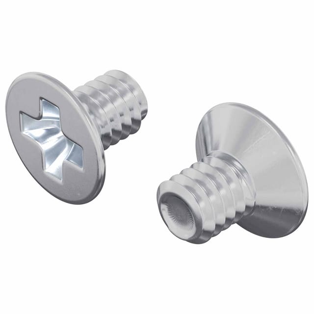 vidaXL Senkkopfschrauben 2 Stk Silber M4 x 6 mm Stahl 864481