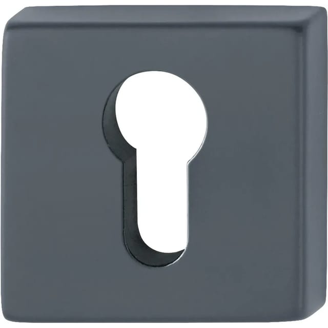 AnsaPro Rosettenpaar Thelon mit PZ-Lochung 37 mm - 42 mm Edelstahl Schwarz
