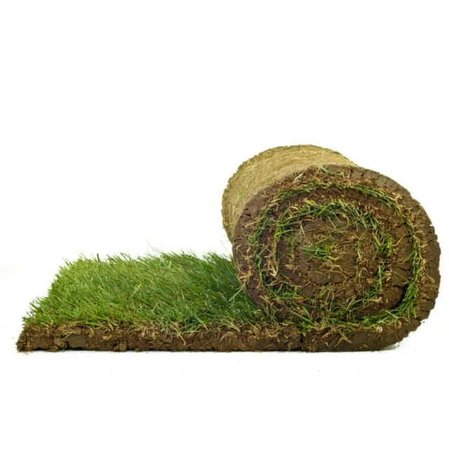 Premium-Rollrasen je m² Bestellmenge 40-49 m²