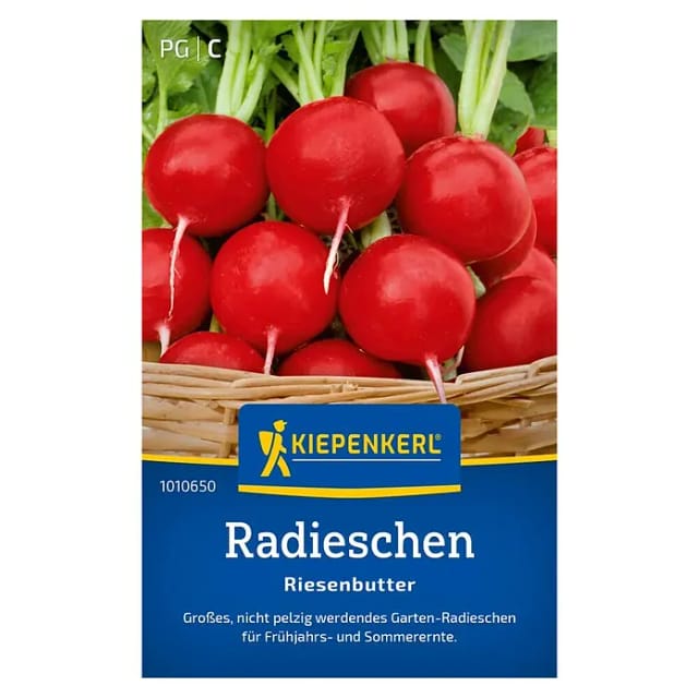 Kiepenkerl Radieschen Radies Riesenbutter
