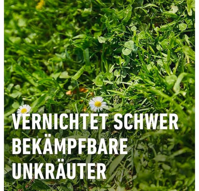Compo Rasenunkraut-Vernichter Banvel Quattro 400 ml