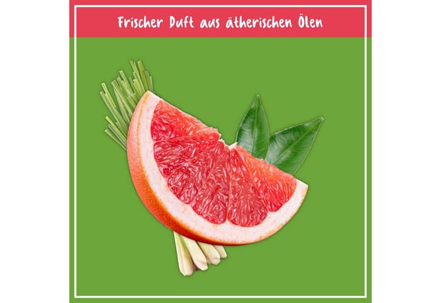Poliboy BIO Boden Reiniger 1 Liter