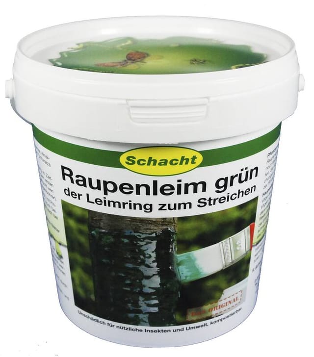 Schacht Raupenleim Grün 500 g