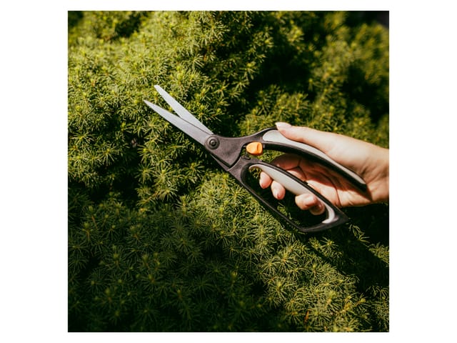 Fiskars Buchsbaumschere S50