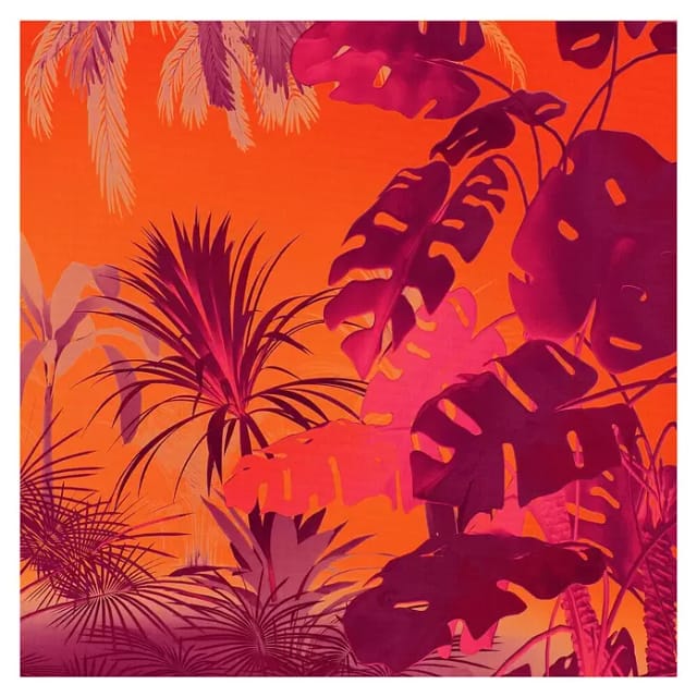 Komar Vliestapete Funky Jungle 250 cm x 250 cm Orange