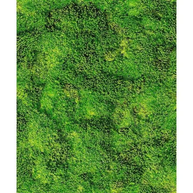 Marburg Vliestapete Moos-Optik Floral Modern 10,05 m x 0,53 m Grün