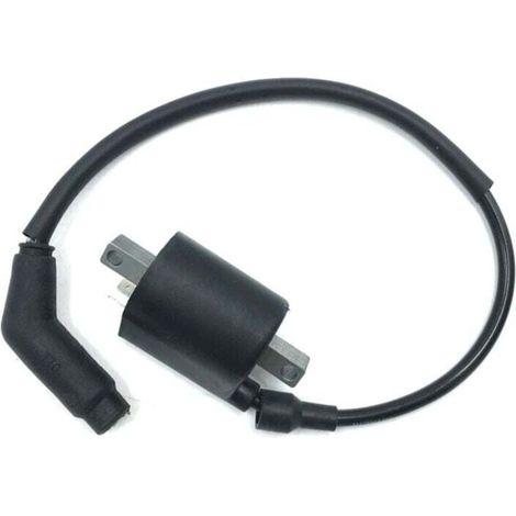 Zündspulen Und Kabel Neu 22012 Für Linhai 260 300 400 500 520 550 Efi Atv Quad Utv
