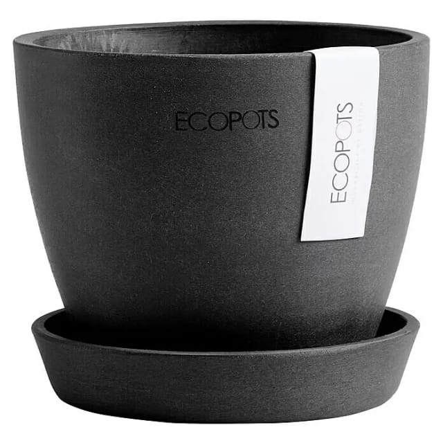 Ecopots Pflanztopf Antwerp Mini Dunkelgrau 11,5 cm x 10,1 cm