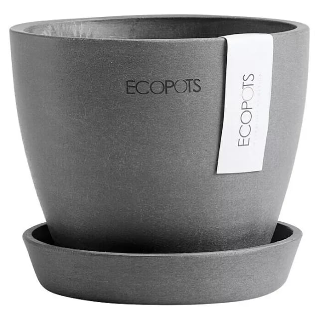 Ecopots Pflanztopf Antwerp Mini Grau 11,5 cm x 10,1 cm