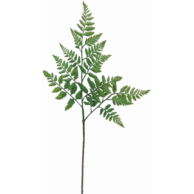 Deko Farnzweig 66 cm Grün