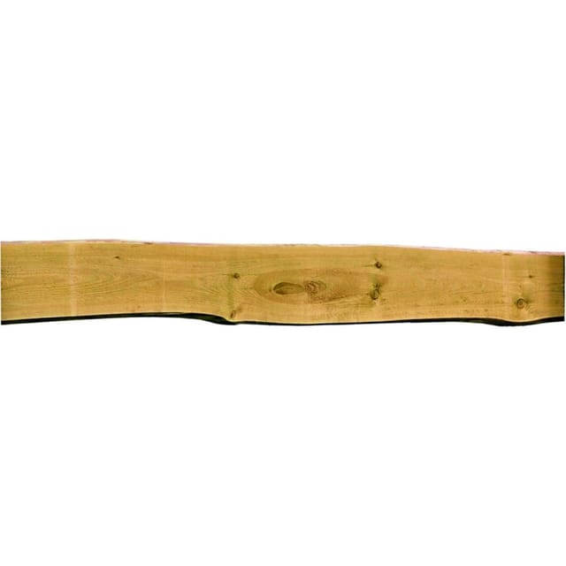 T & J Zaunbrett Bonanza Sägerauh 250 cm Grün
