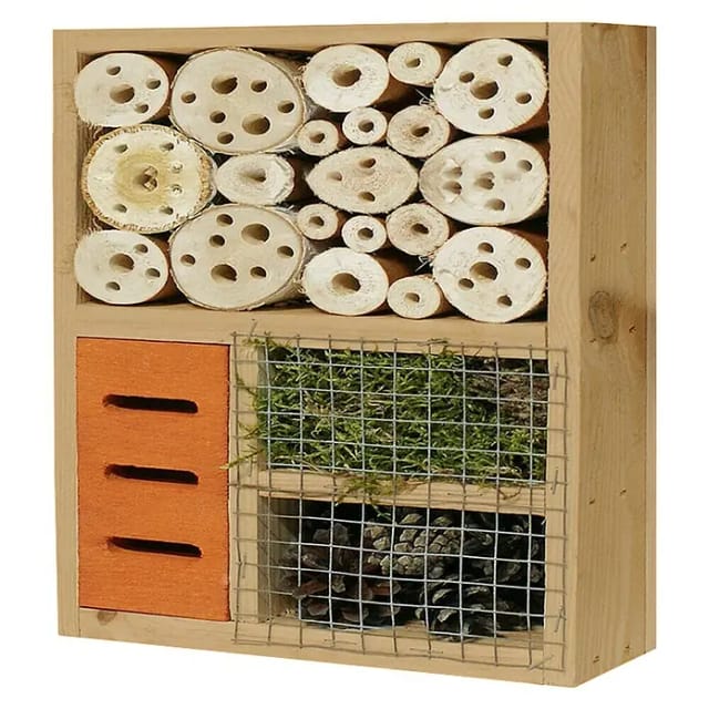 T & J Insektenhaus 1 Labo-3D 36 x 36 x 12 cm