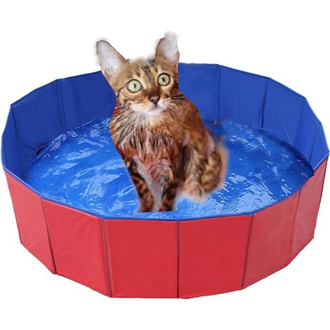 Faltbares Planschbecken Für Hunde Und Katzen, Aus Umweltfreundlichem Pvc, Rutschfest, Mit Ablassventil, 50 X 8 Cm
