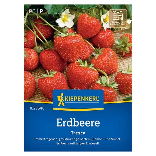 Kiepenkerl Erdbeeren Fresca