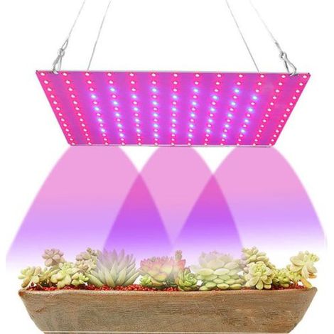 Lampe De Croissance Led 169 Pour Plantes D'Intérieur-aquaforge