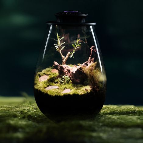 Mini Lampe Horticole Pour Terrarium - Lampe Led Pour Plantes En Bouteille En Verre, Micro-paysage, Usb 5v, Noire-aquaforge